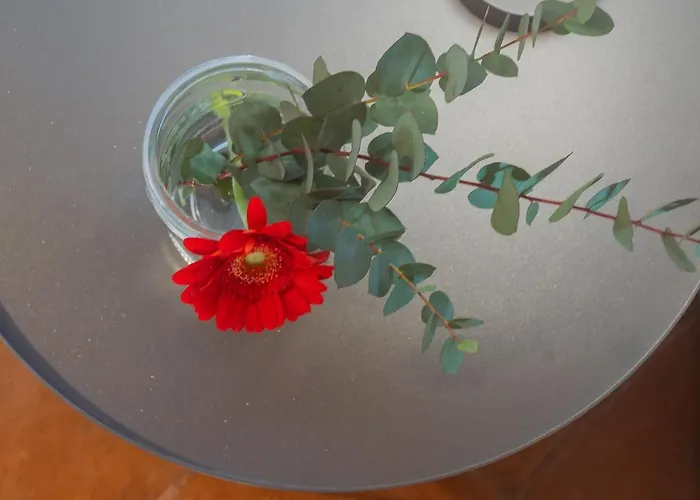 Antiche Mura By Rent Appartamento