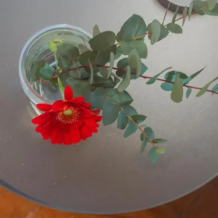 Antiche Mura By Rent アパート